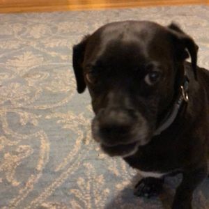 Meet your Posher, Sharon